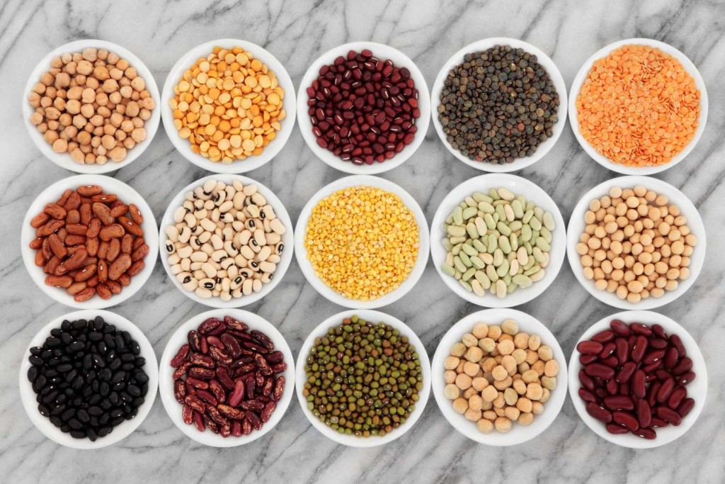 The blokes guide to going vegan
