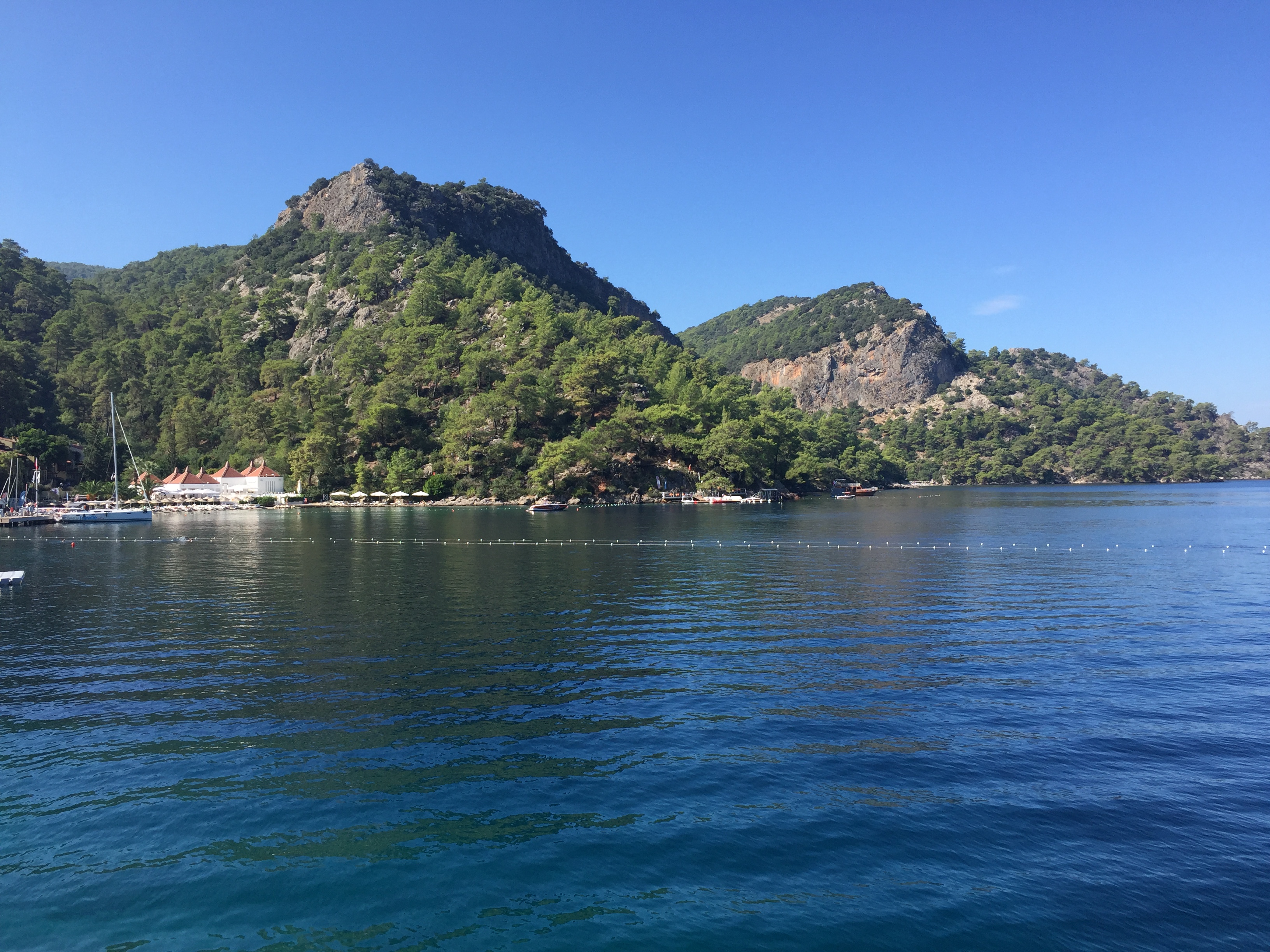 image1-2