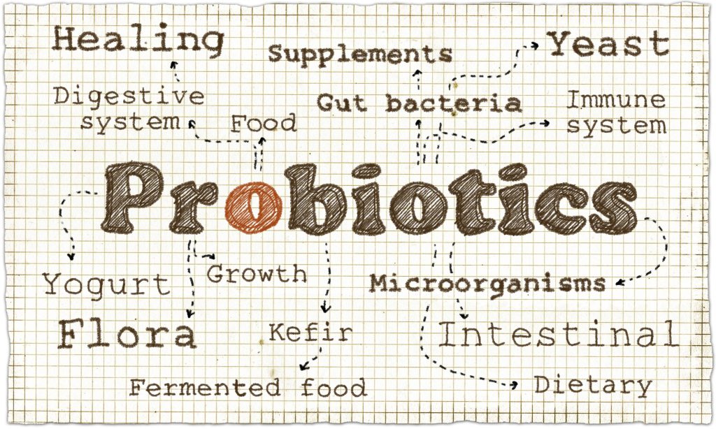 Time to join the culture club – your guide to probiotics