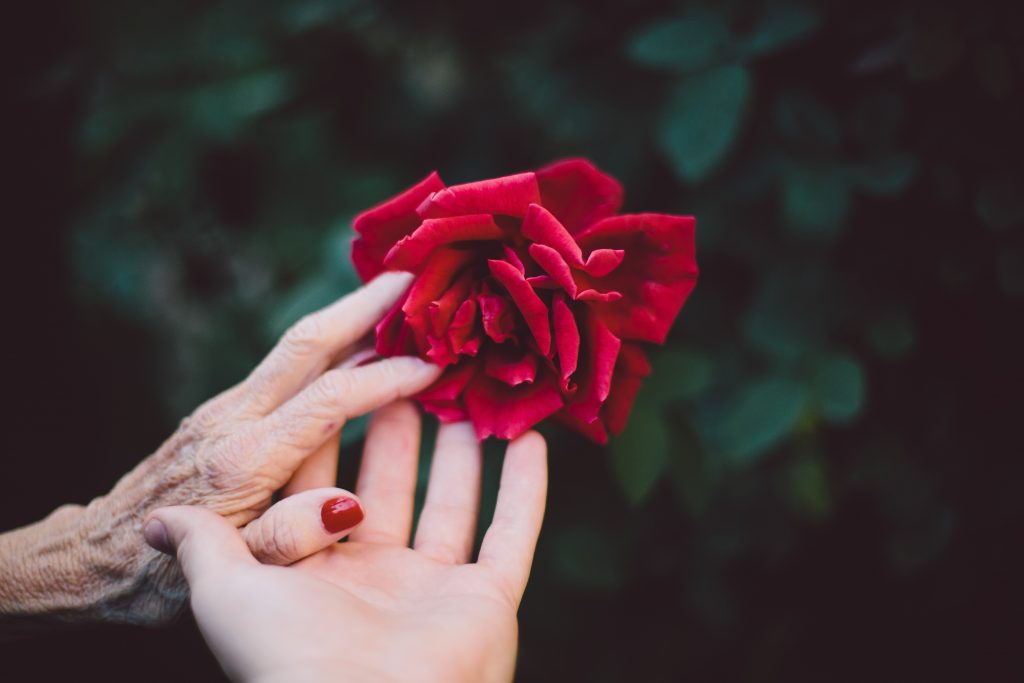 Time saving mealtime tips for carers